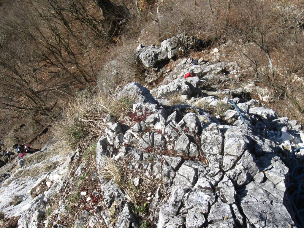 big/IMG_4569.JPG