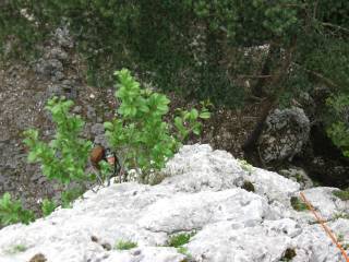 IMG_5332.JPG