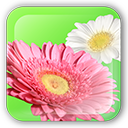 icon_flowerpaint