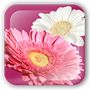 icon_flowerpaint_pro